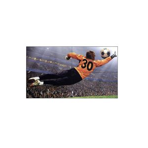 Bảng Giá Màn hình ghép LG 49 inch – 55 inch chính hãng Giá Tốt Nhất